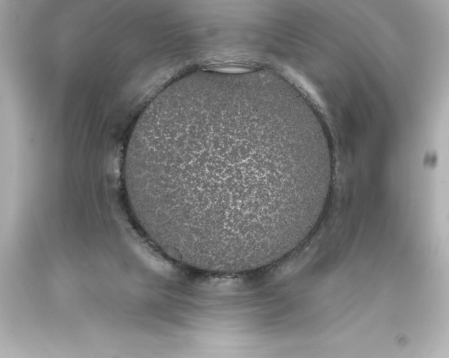 X0000093620065200710291234