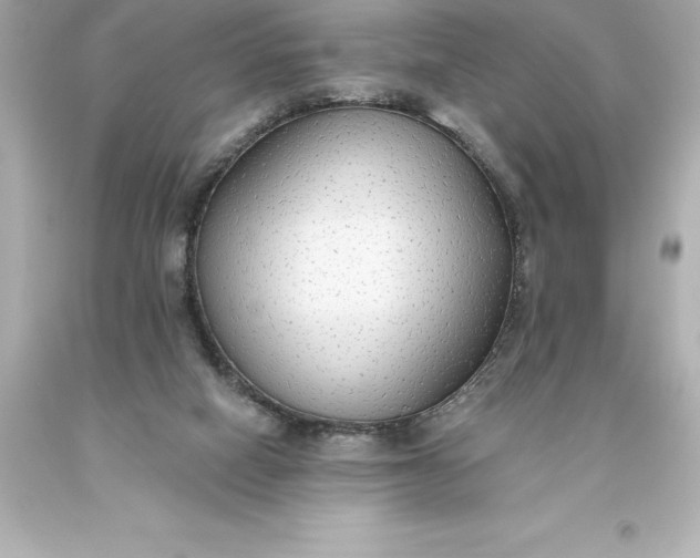 X0000093620066200710291234