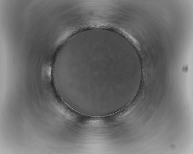 X0000093620067200710291235
