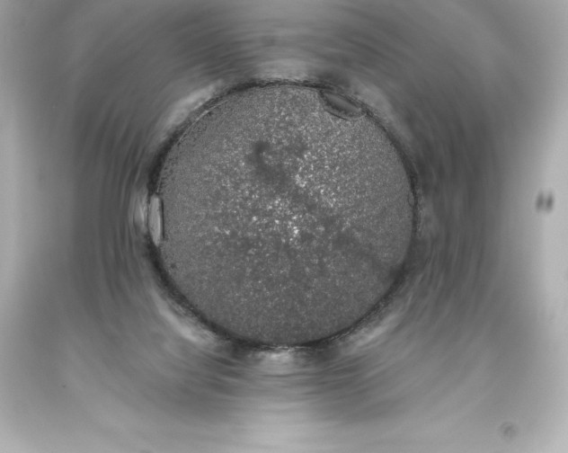 X0000093620068200710291235