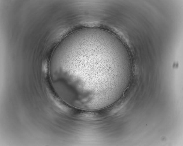 X0000093620069200710291235