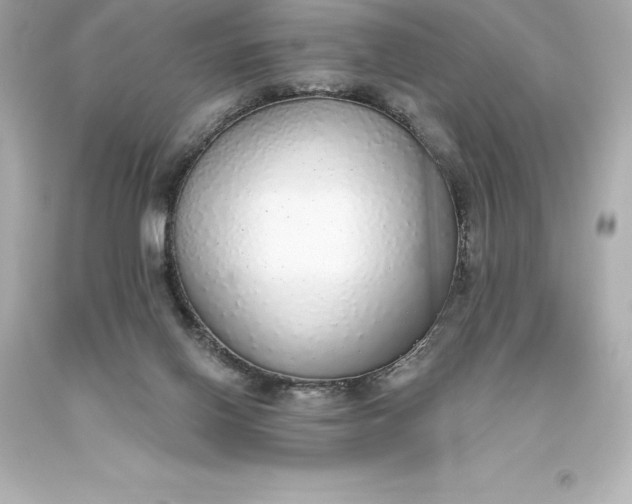X0000093620070200710291235
