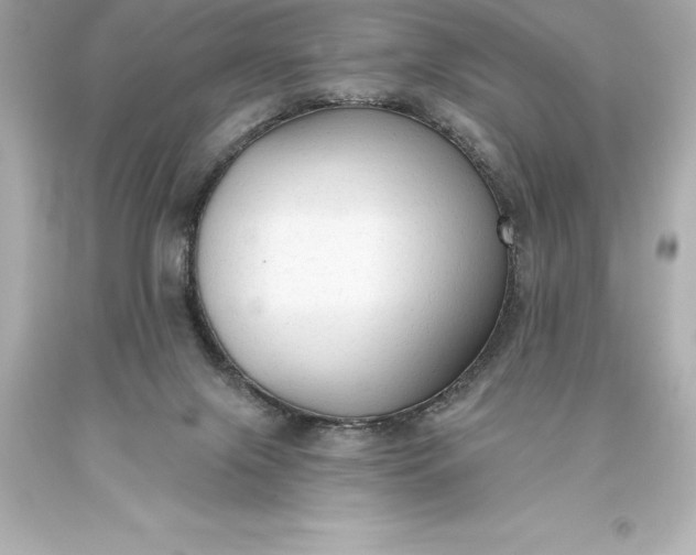 X0000093620071200710291235
