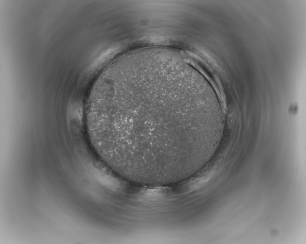 X0000093620072200710291235