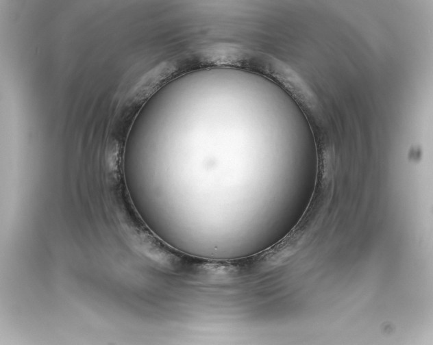X0000093620073200710291235