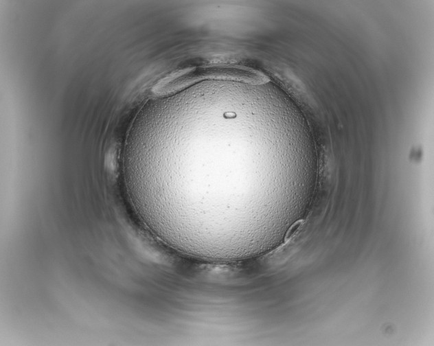 X0000093620074200710291235