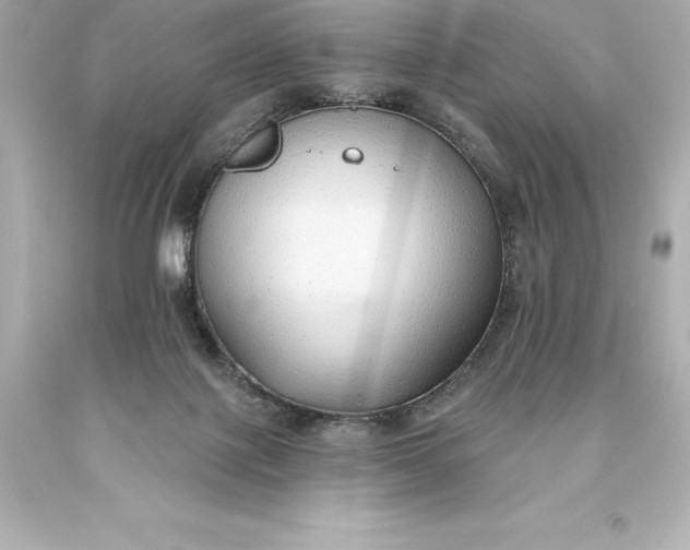 X0000093620075200710291235