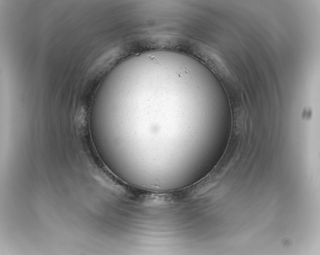 X0000093620077200710291235