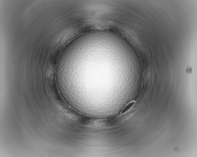 X0000093620078200710291235