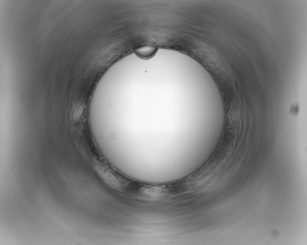 X0000093620079200710291235