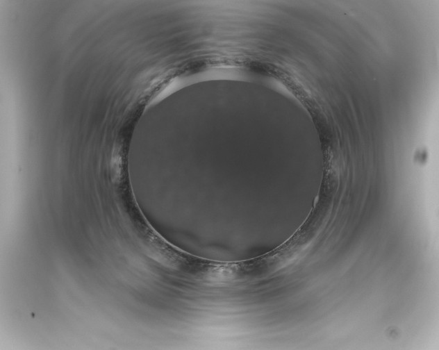 X0000093620080200710291235
