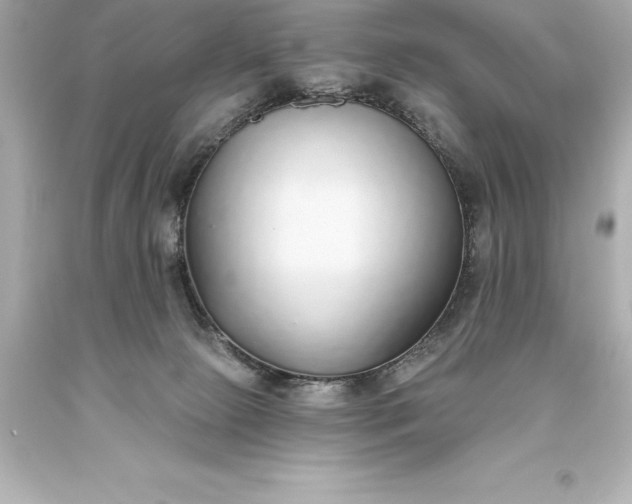 X0000093620081200710291235