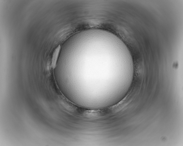 X0000093620082200710291235