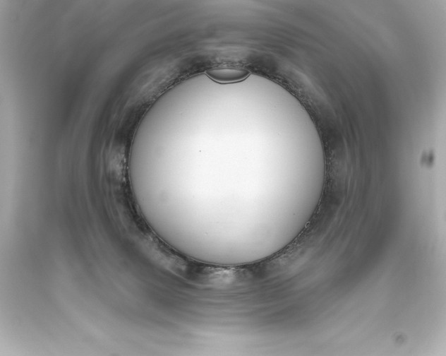 X0000093620083200710291235