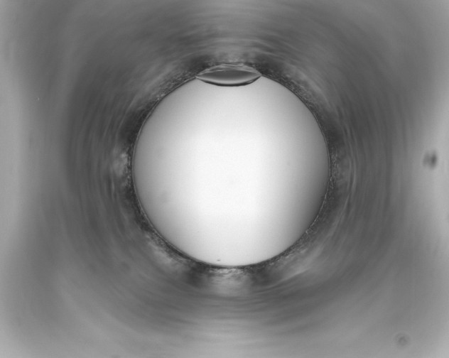 X0000093620087200710291235