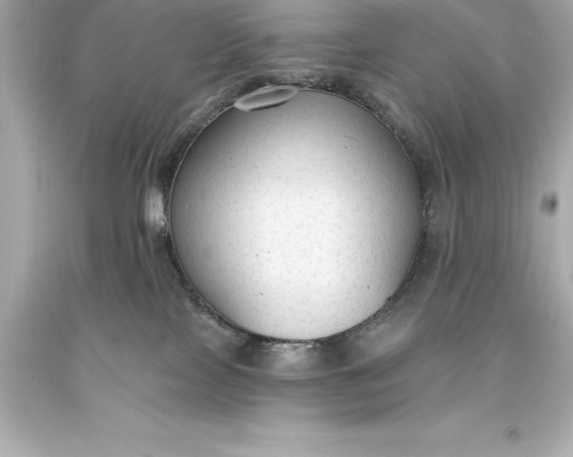 X0000093620089200710291235