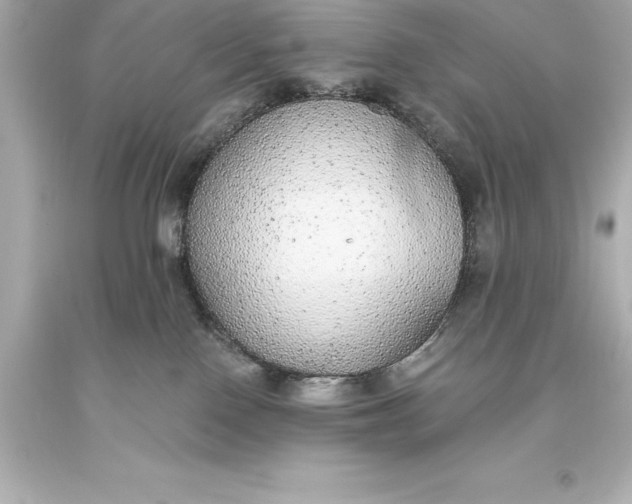 X0000093620090200710291235