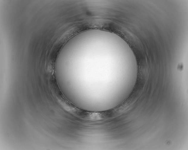 X0000093620091200710291235