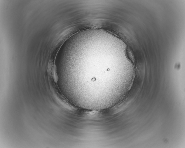 X0000093620092200710291235