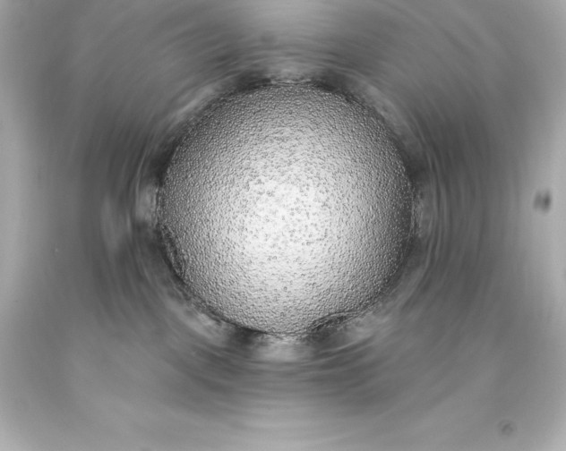 X0000093620093200710291235