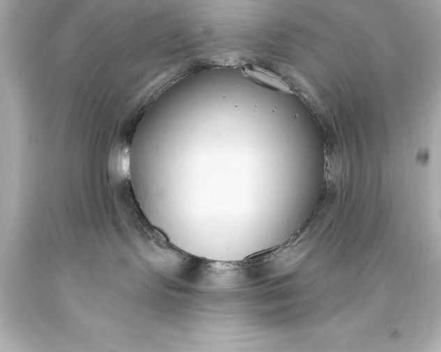 X0000093620095200710291235