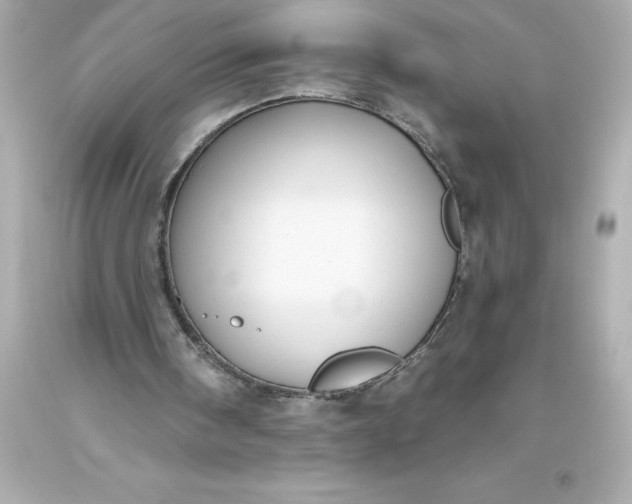 X0000093620098200710291234