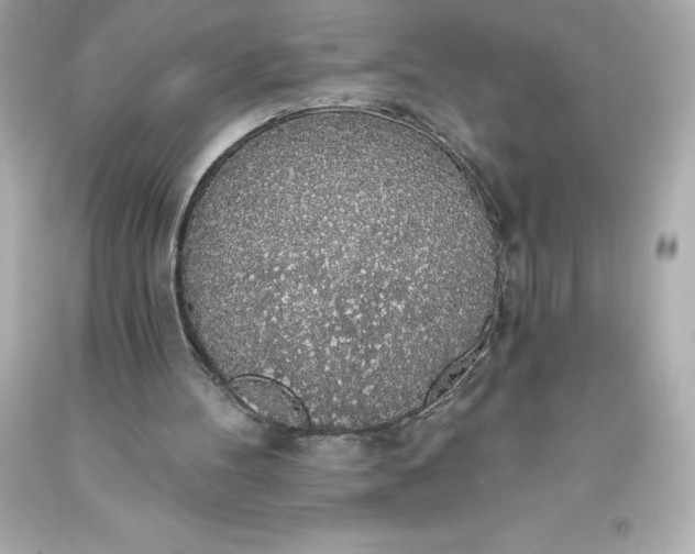 X0000093620100200710291234