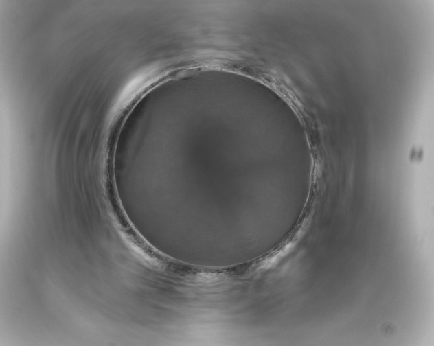 X0000093620101200710291234