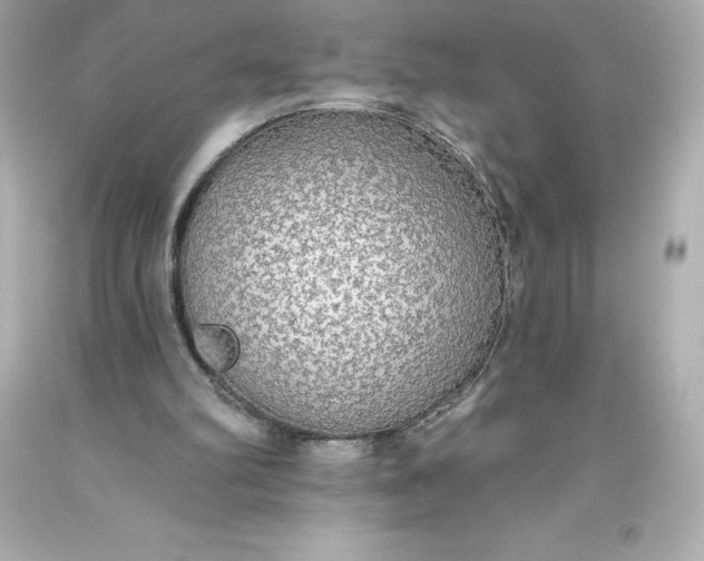 X0000093620102200710291234