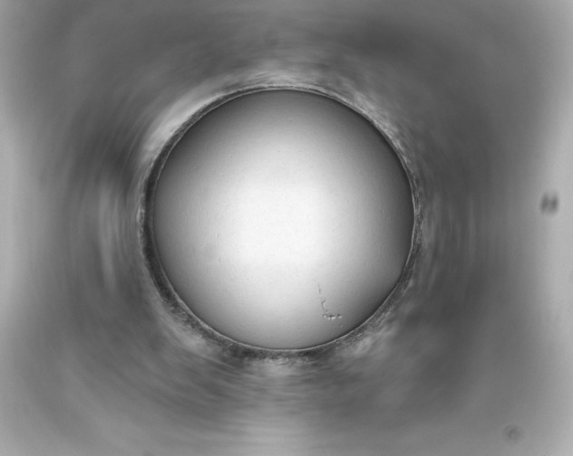 X0000093620103200710291234