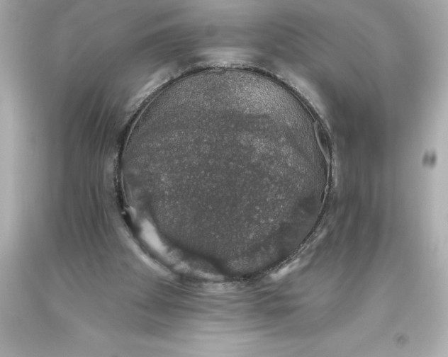 X0000093620105200710291234