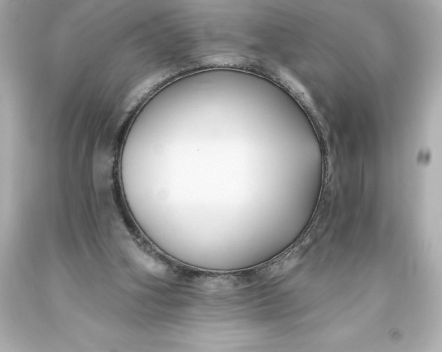 X0000093620106200710291234