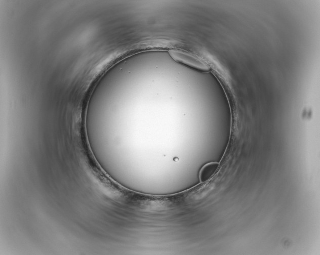 X0000093620107200710291234