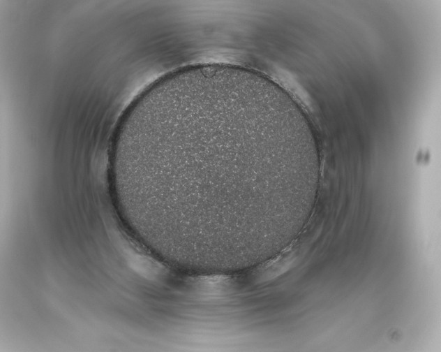 X0000093620108200710291234