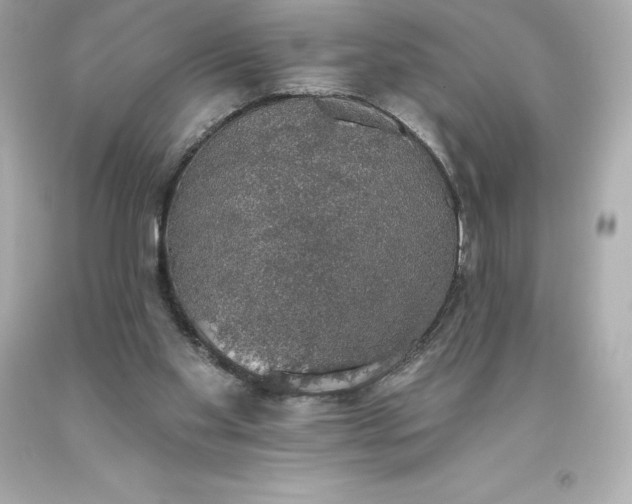 X0000093620109200710291234