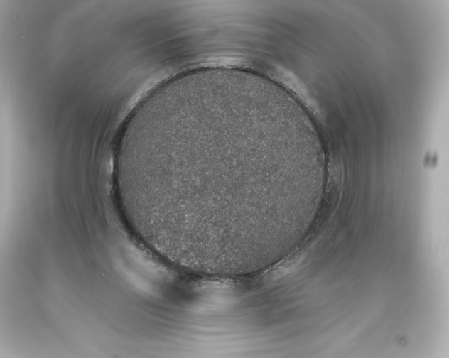 X0000093620110200710291234