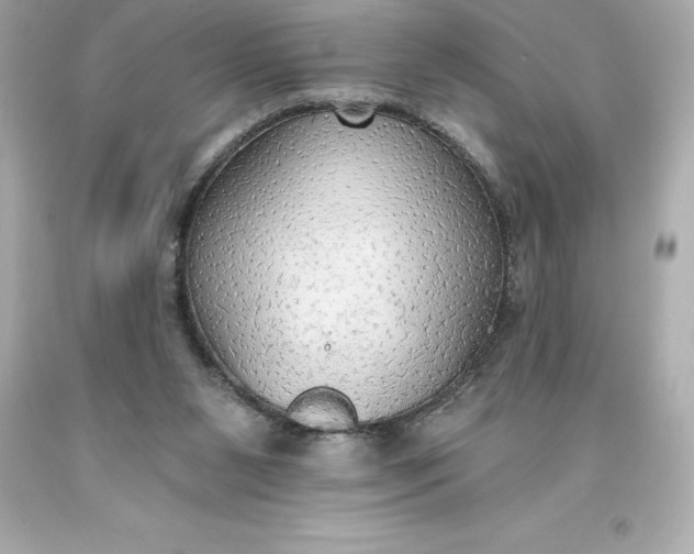 X0000093620111200710291234