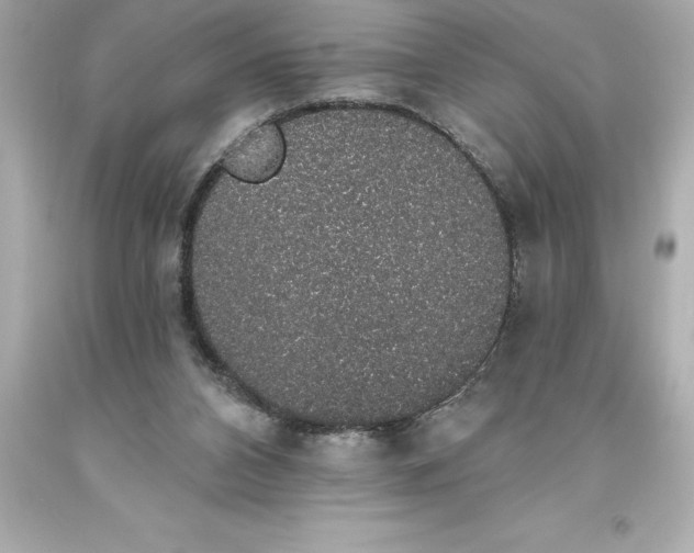 X0000093620112200710291234