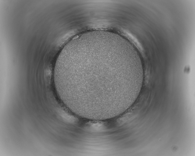 X0000093620113200710291234