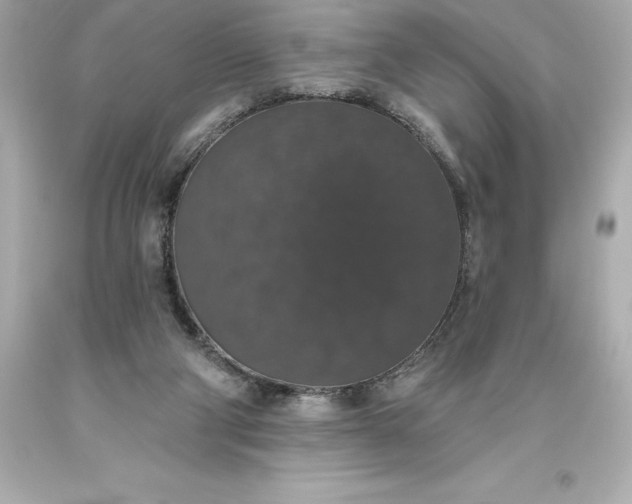 X0000093620114200710291234