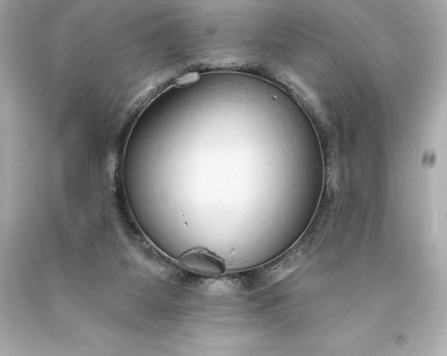 X0000093620115200710291234