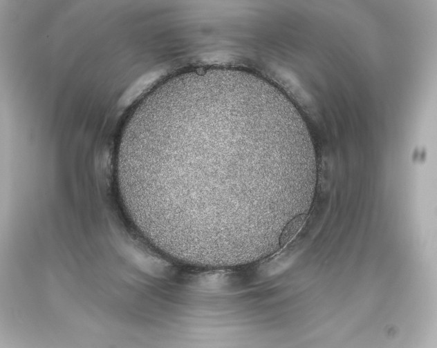 X0000093620116200710291234