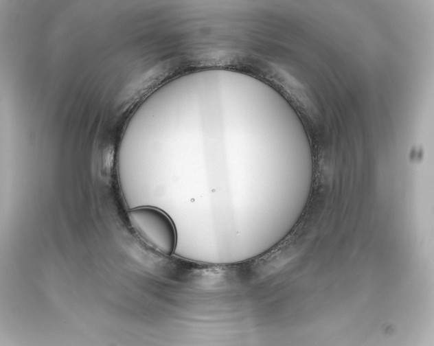 X0000093620118200710291234