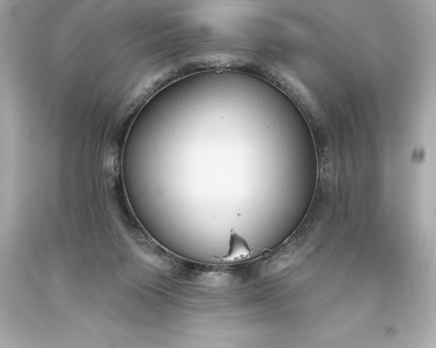 X0000093620119200710291234