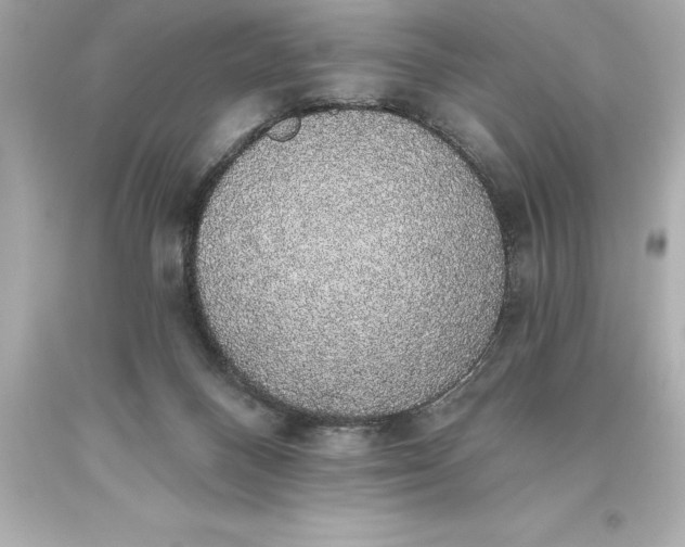 X0000093620120200710291234