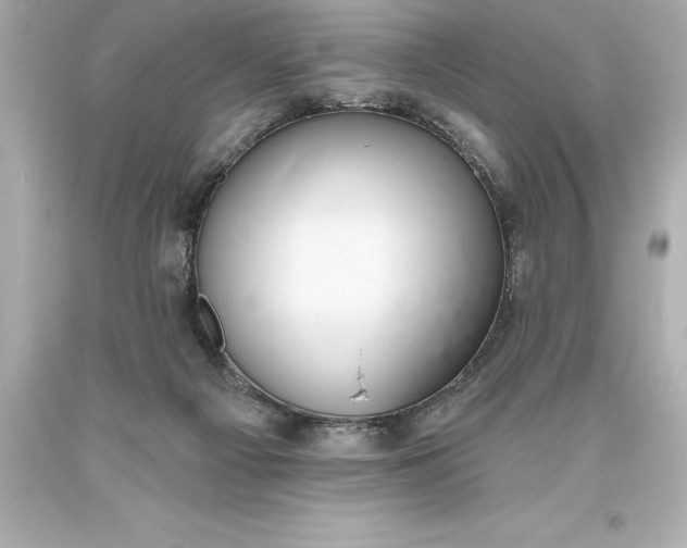 X0000093620121200710291234