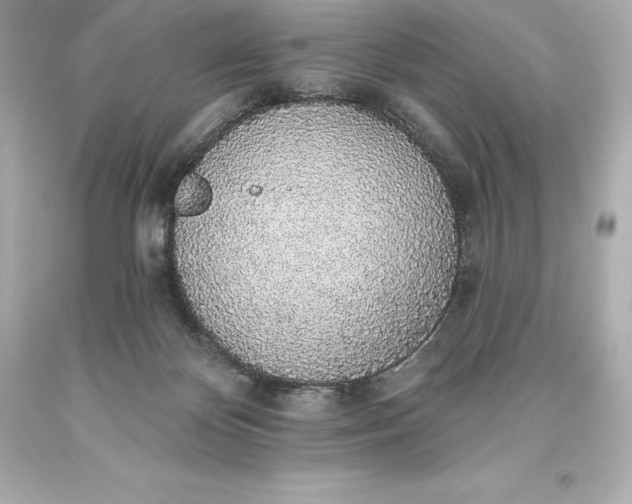 X0000093620124200710291234