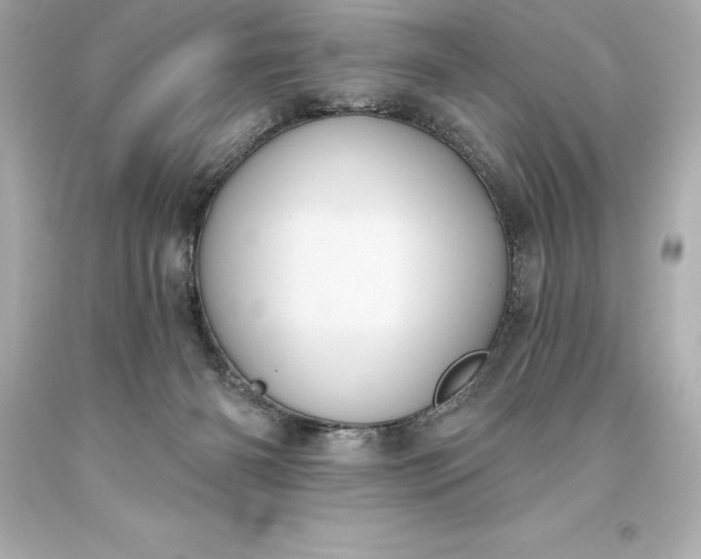 X0000093620126200710291234