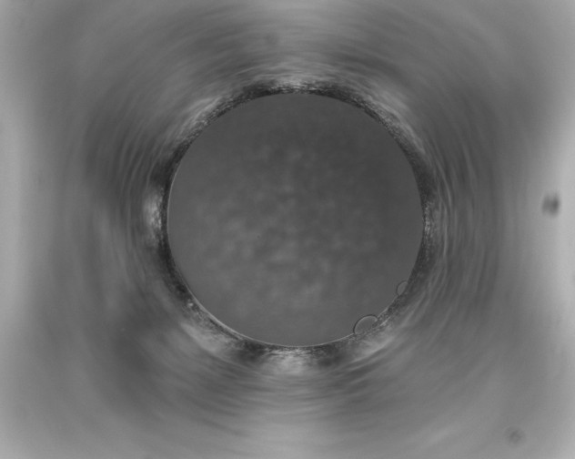 X0000093620127200710291234