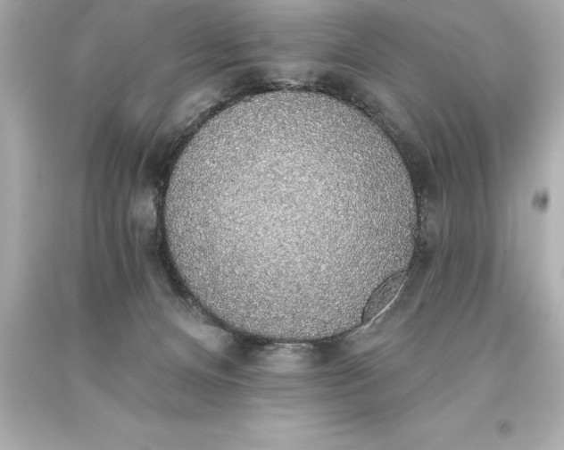 X0000093620128200710291234
